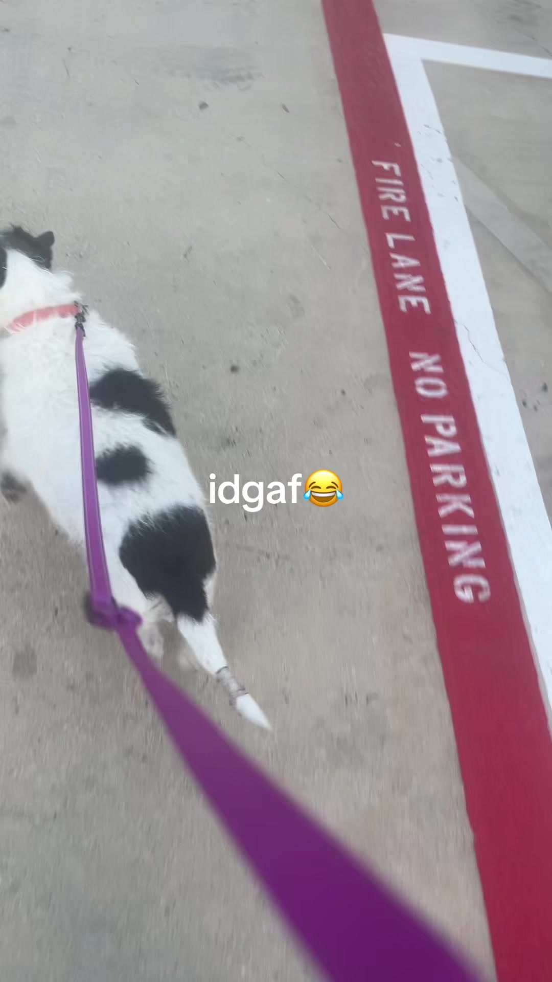 @uncle0385