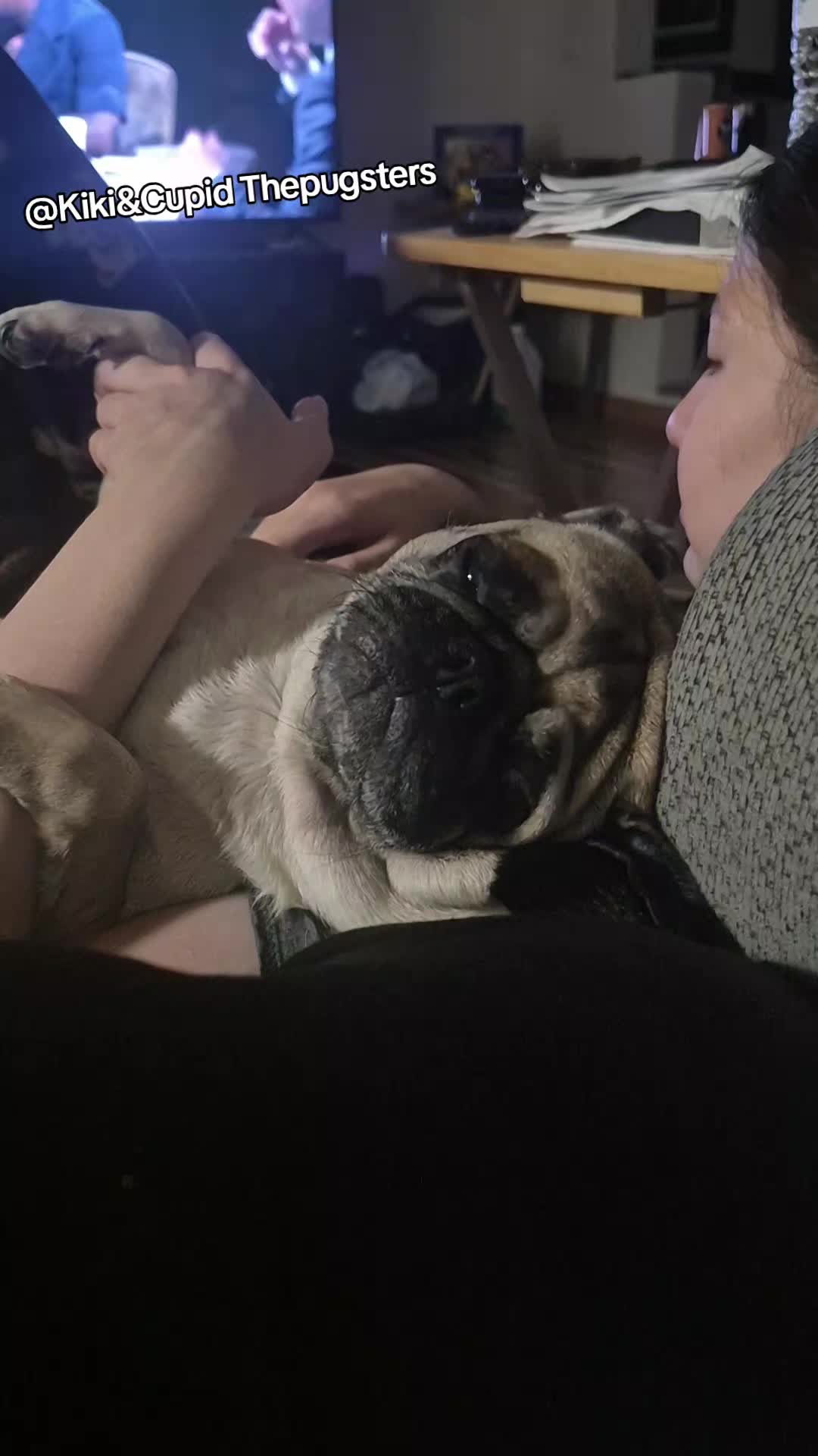 @Kiki&Cupid Thepugster