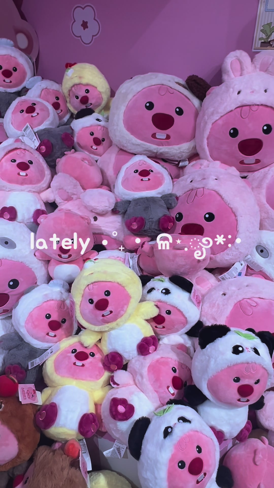 @jellyseungs