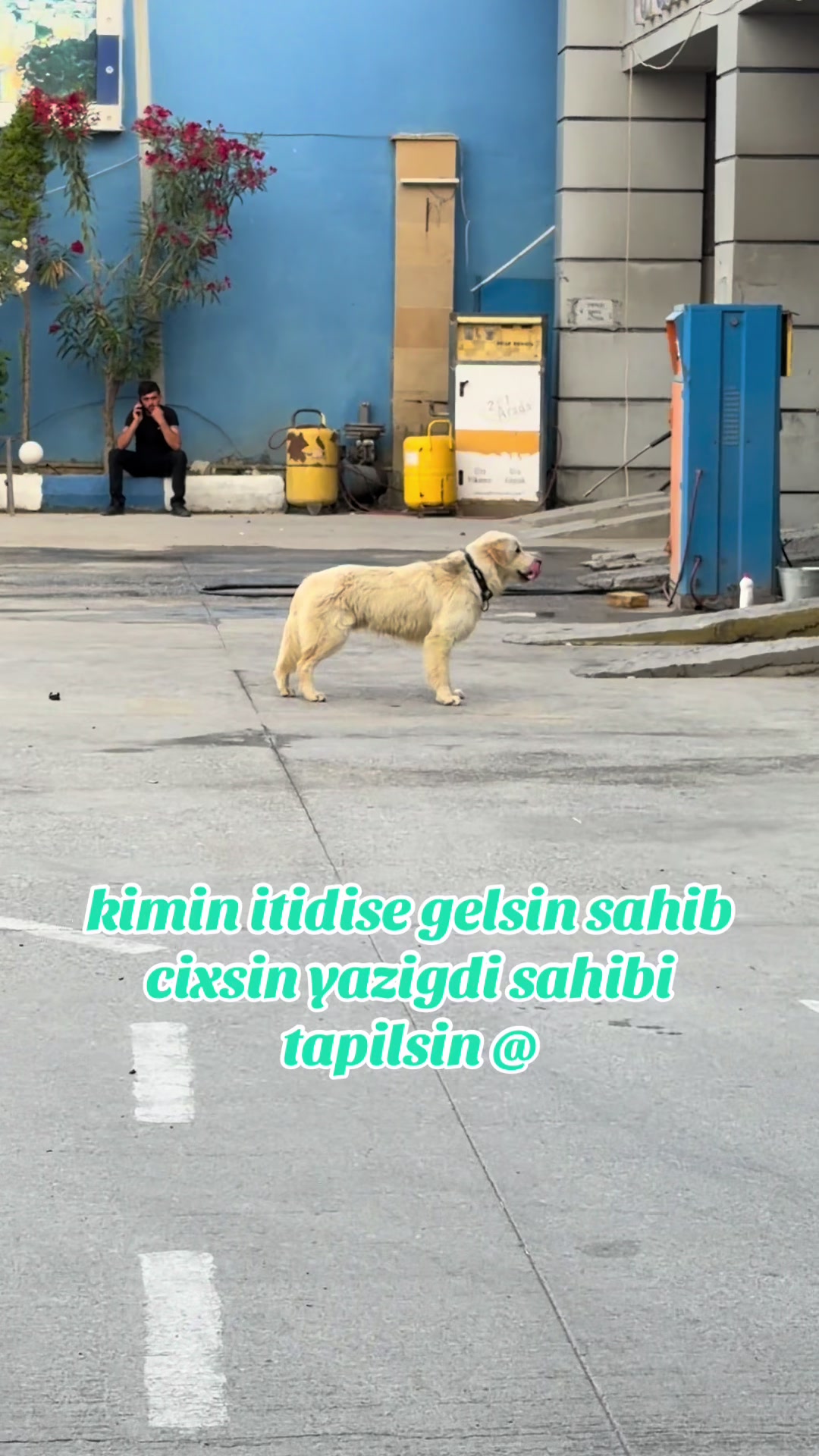 @zehra_isayeva95