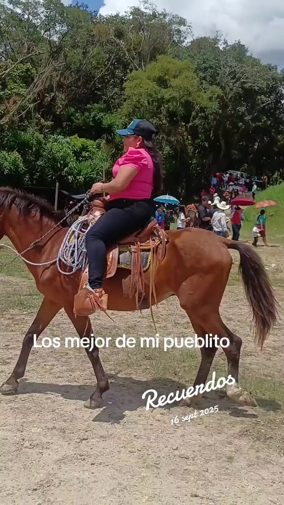 @🐦🔥Manueles321.