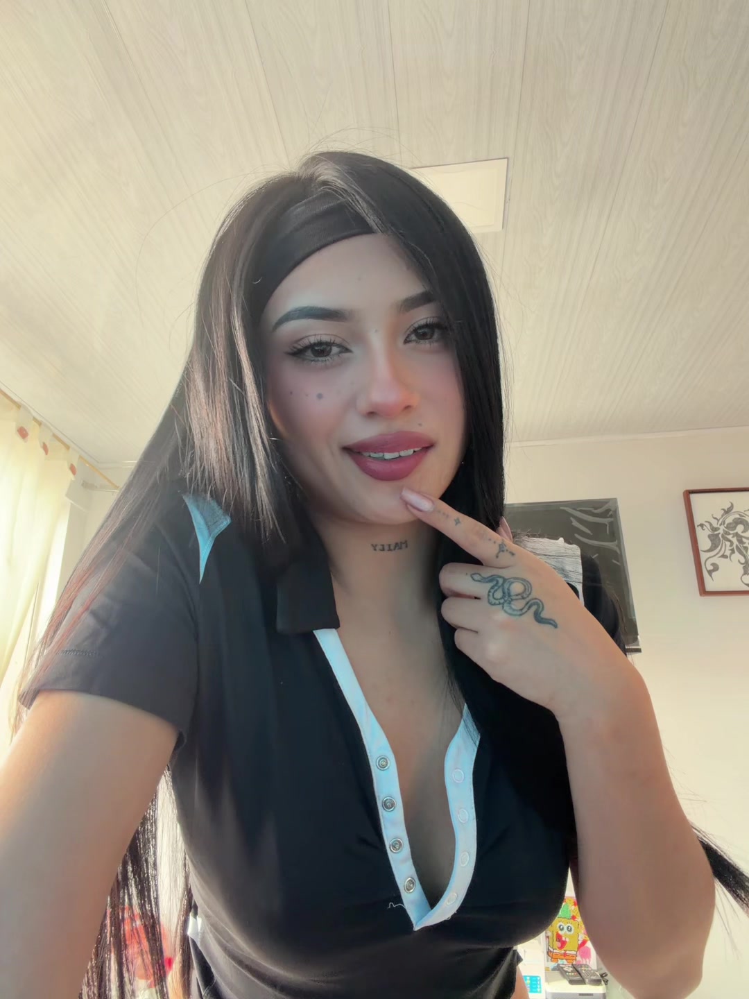 @lasofiss