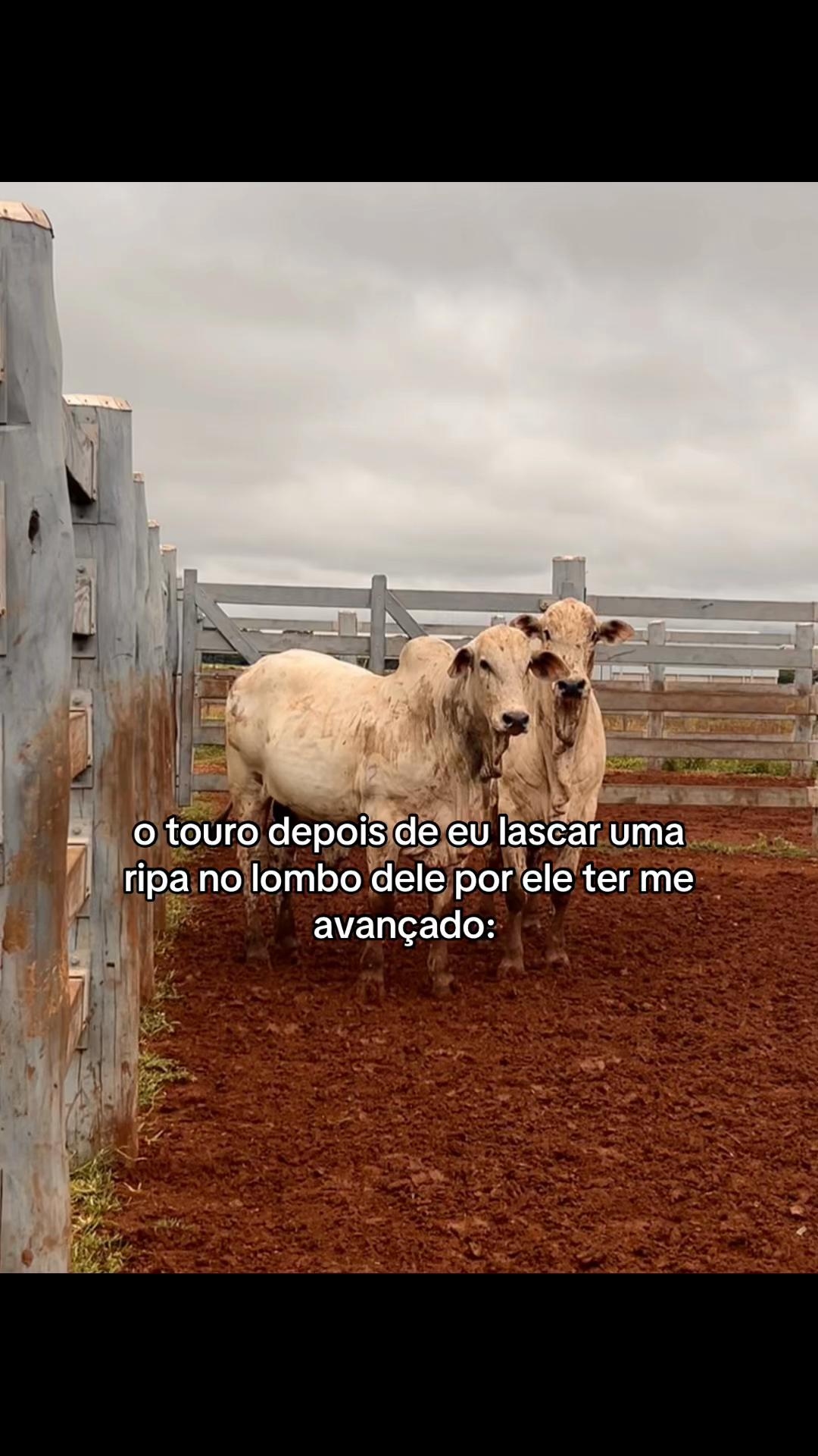 @𝓗𝓐𝓣𝓐𝓚𝓔