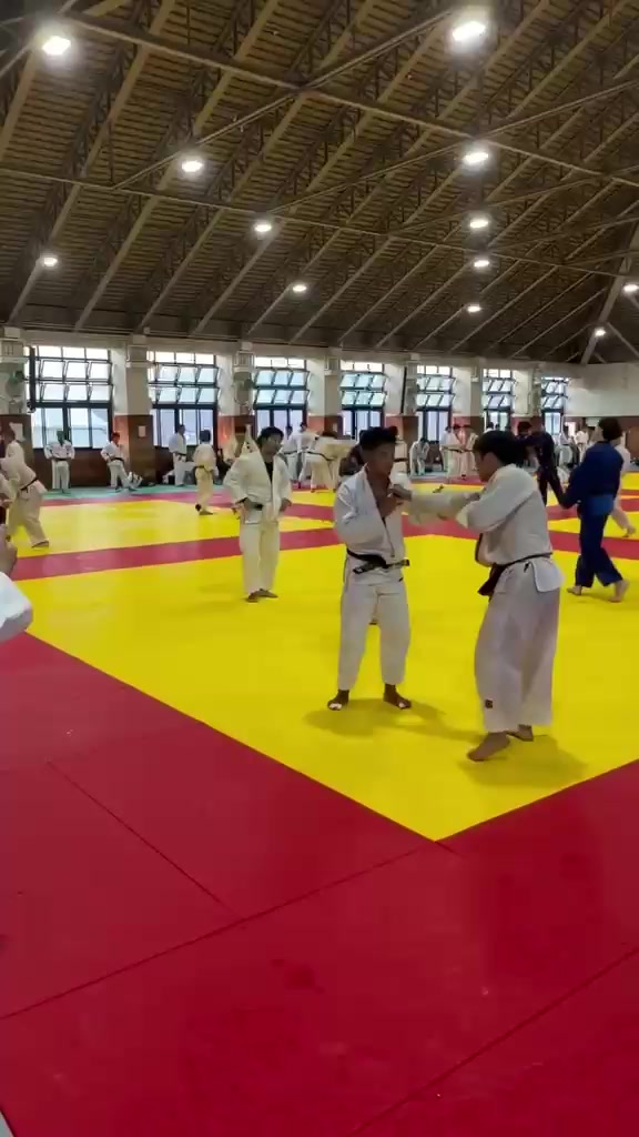 @mir_judo