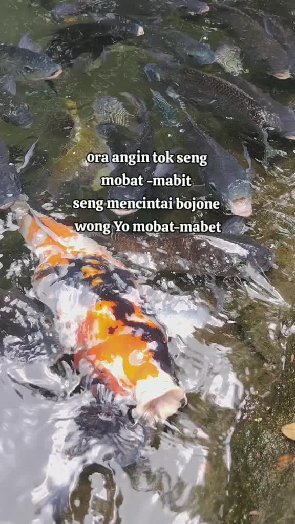 @KEDIRI STORY_アンドレ