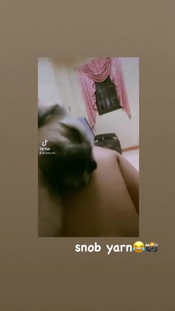 @kaithcath🦋✨