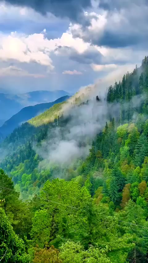 @♥️AwAN♥️