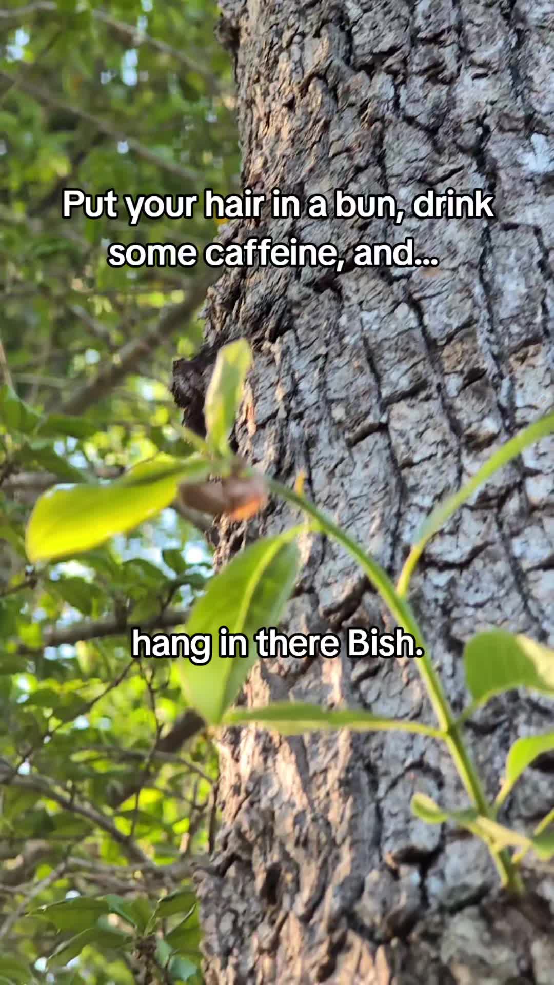 @Ashley S.