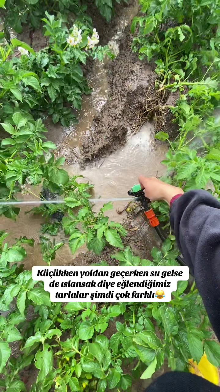 @Melike.blcii