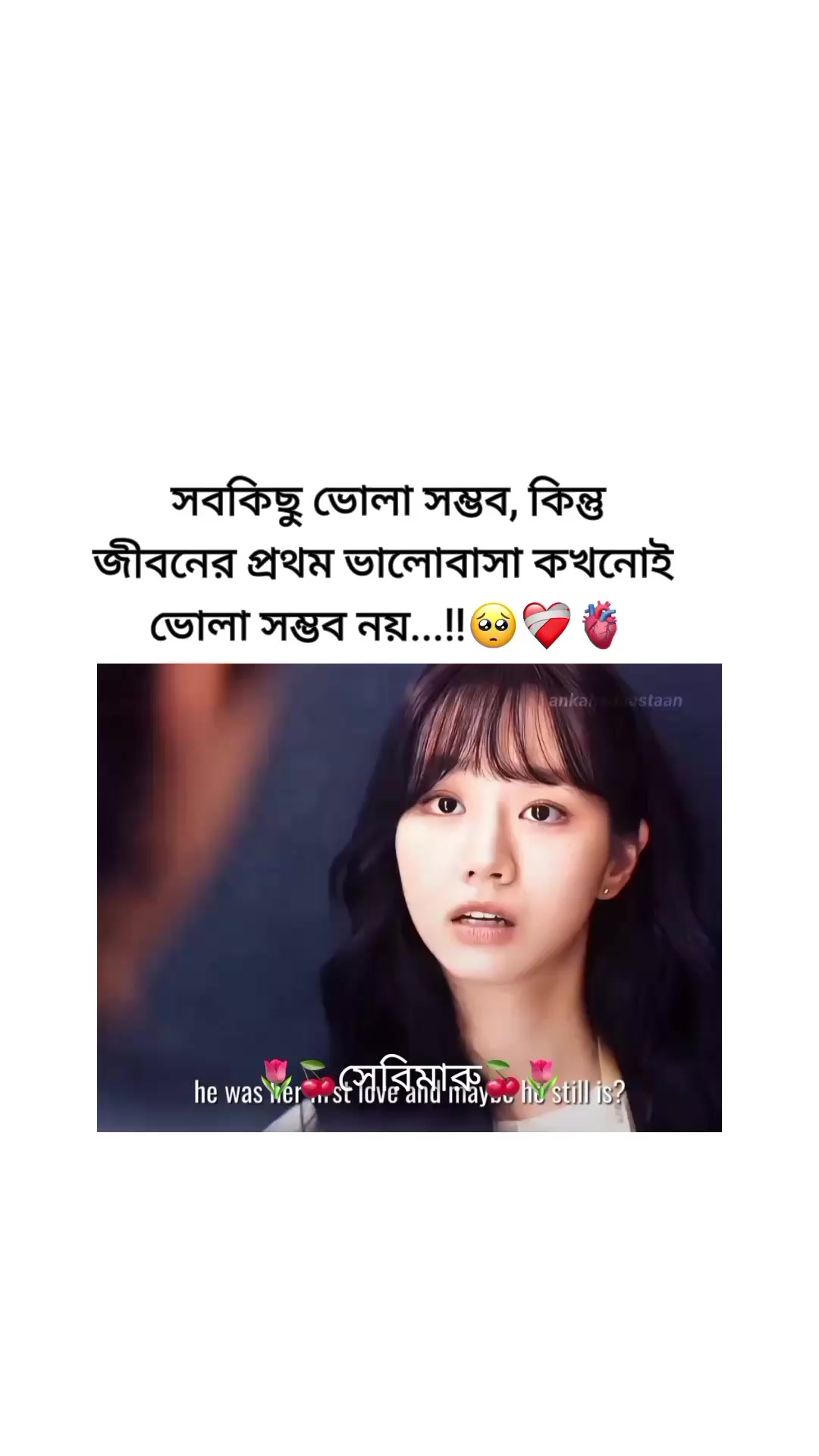 @🌷🍒সেরিমারু🍒🌷