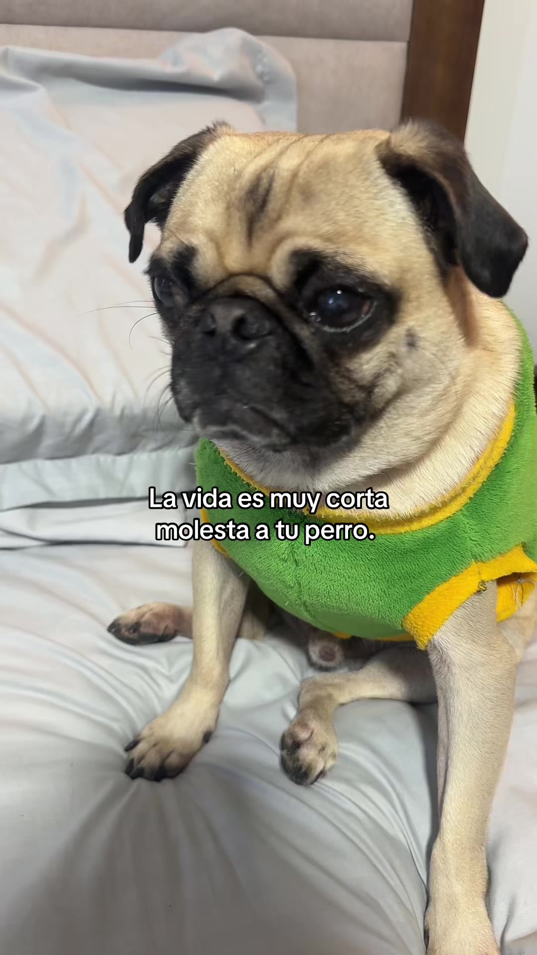 @Alexa&elcarnalchiss