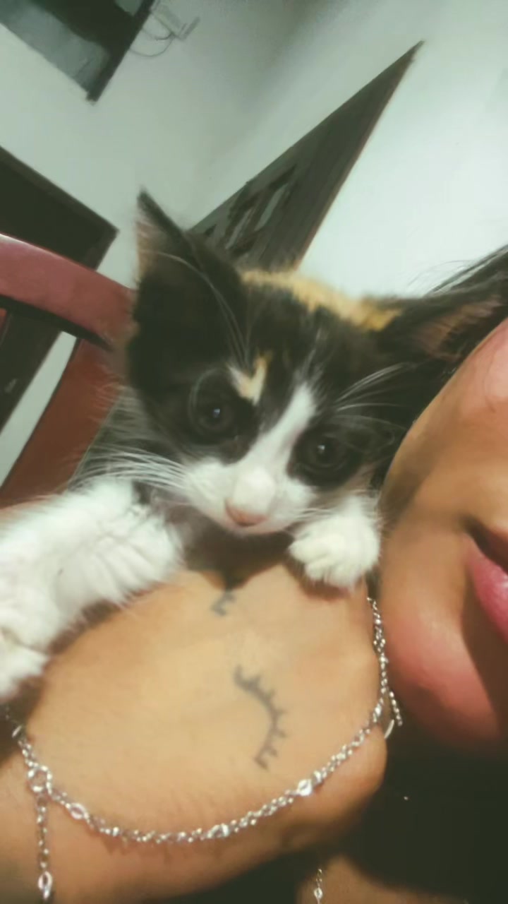 @thuany0liveiraa