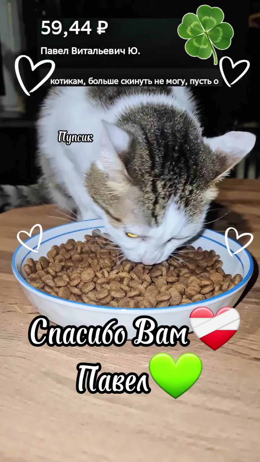 @Кошкин Дом