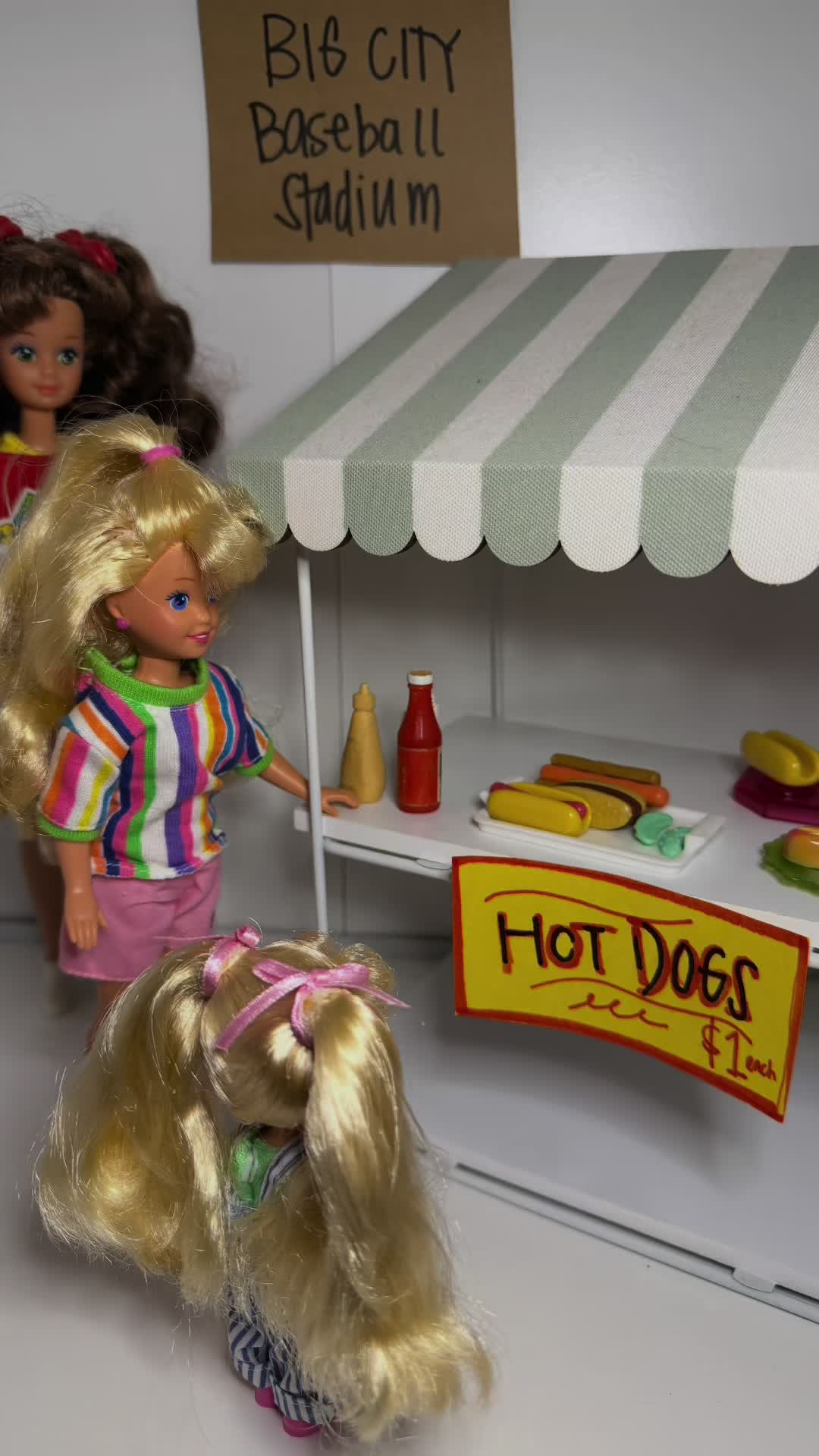 @Barbie in Sunnyville
