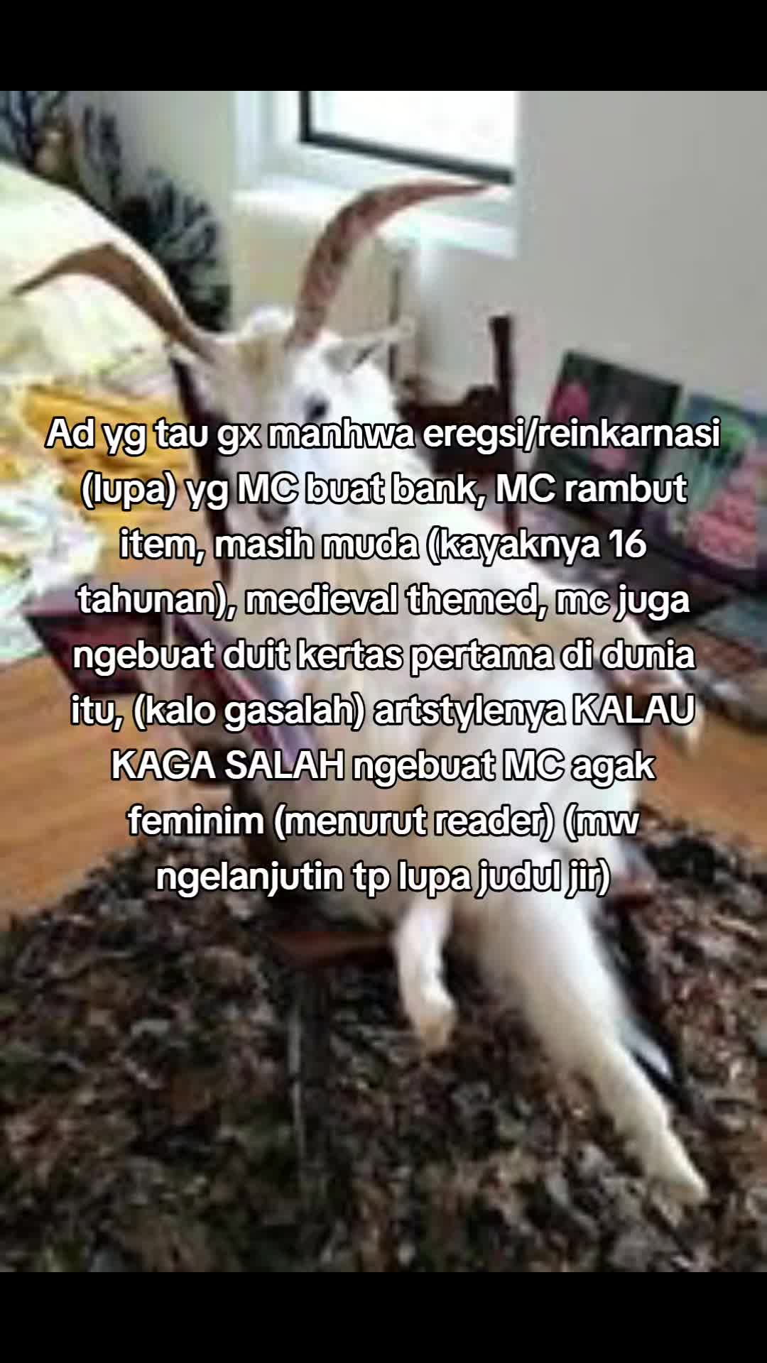 @mogarimogs