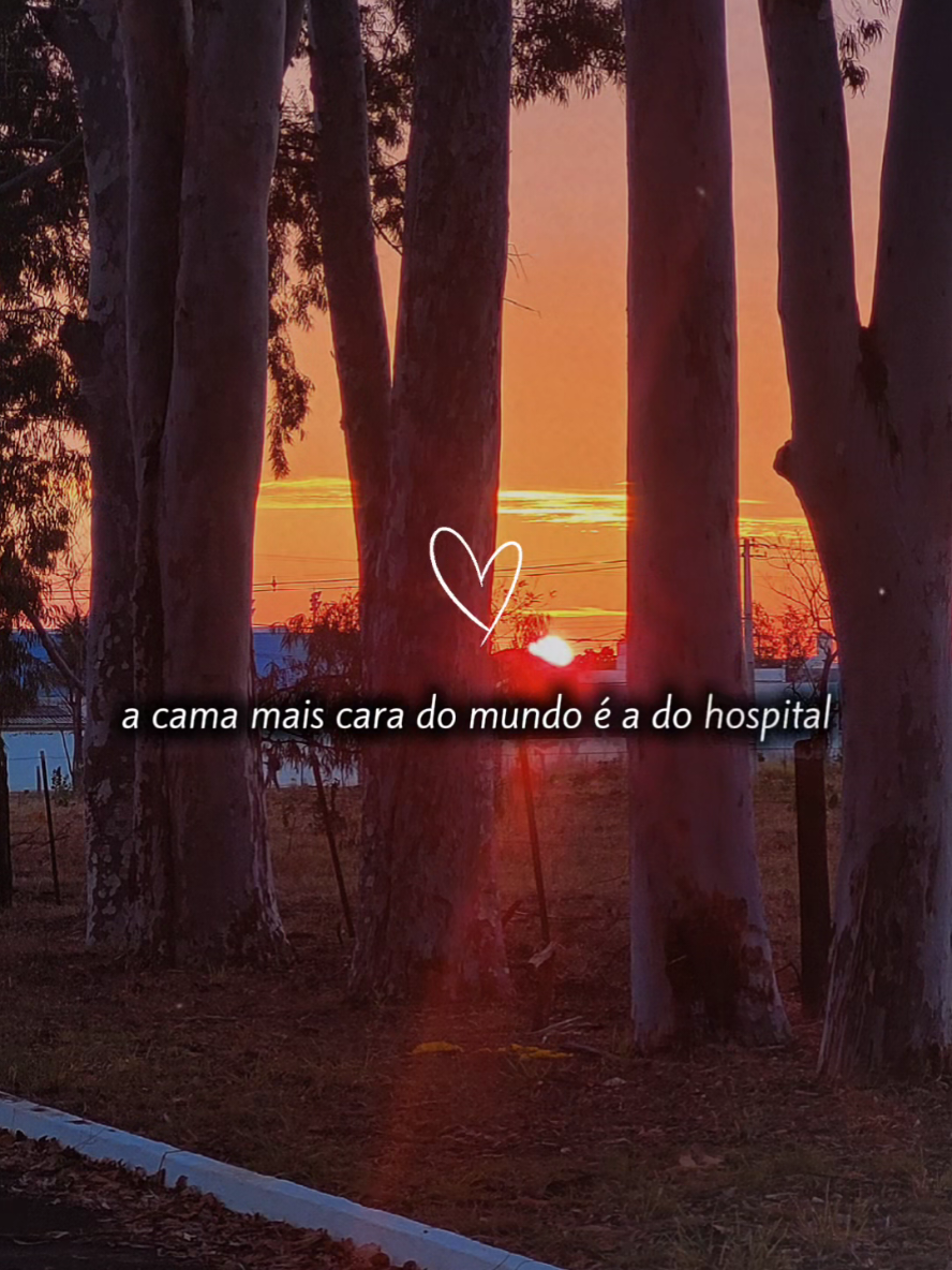 @Elaine Oliveira