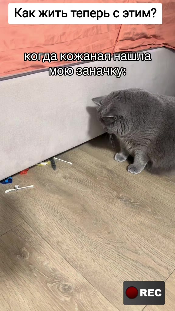 @Лариса
