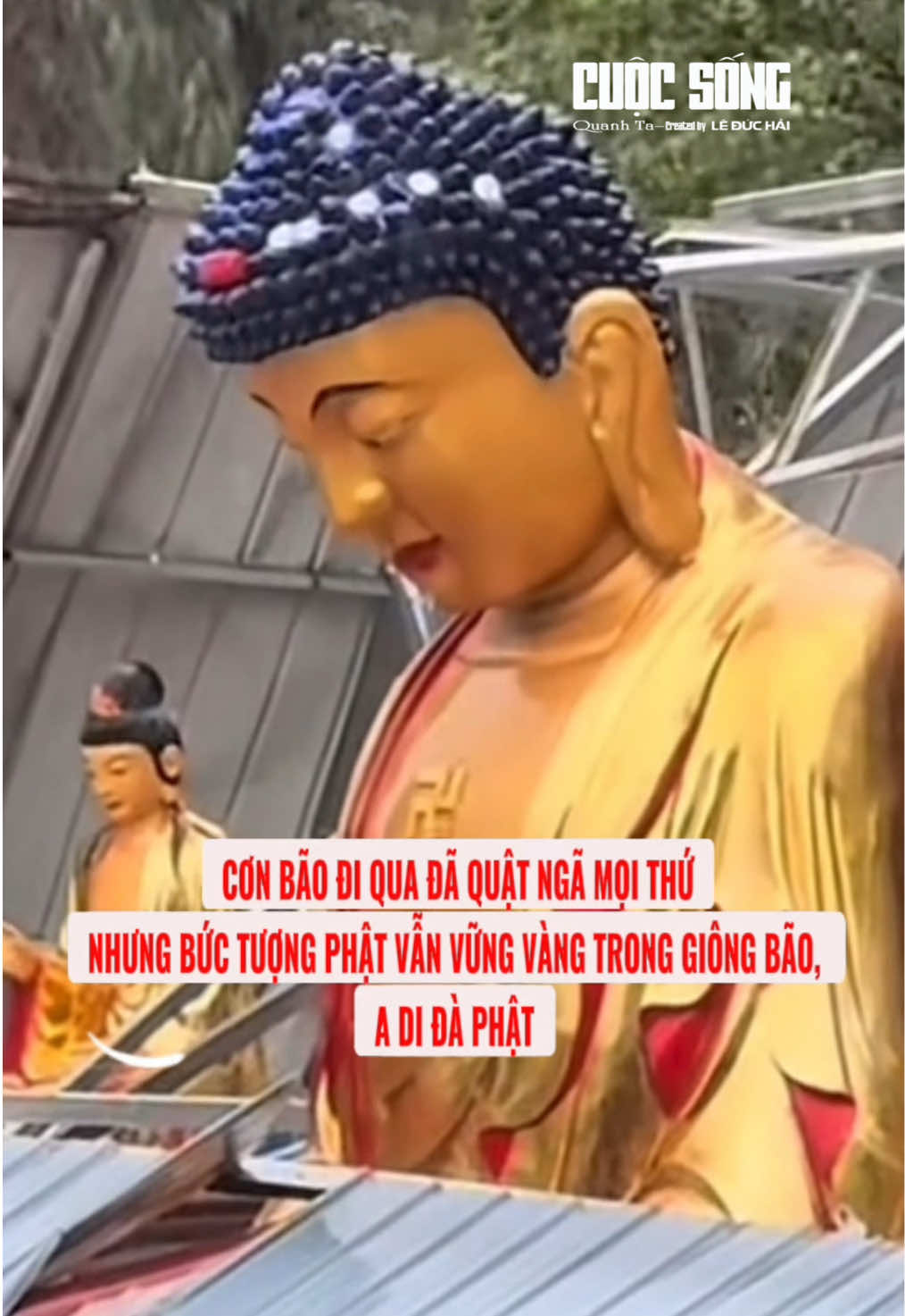 @Cuộc Sống Quanh Ta