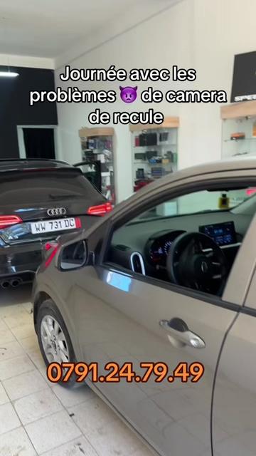 @Carmaxdz 🇩🇿