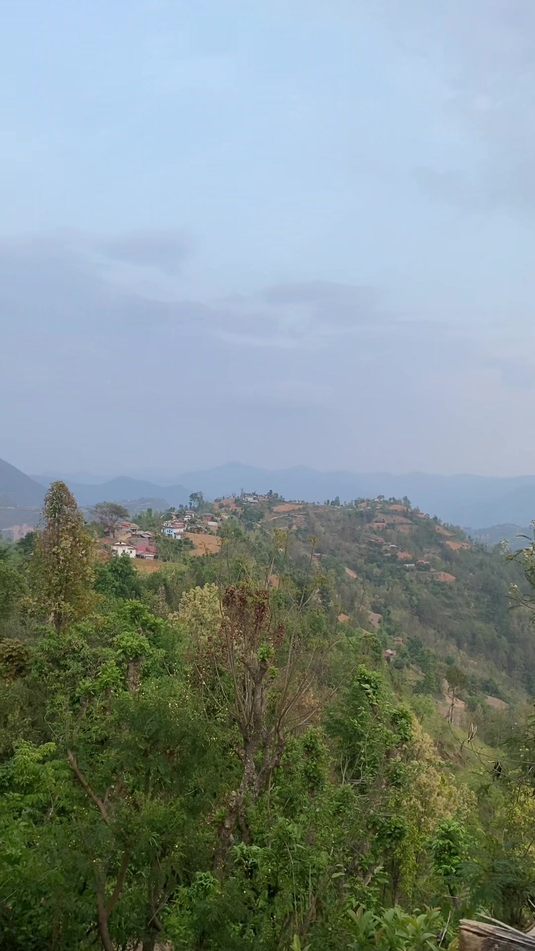@थानेश्वर ज्ञवाली