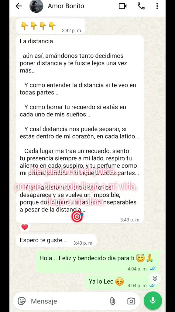 @Abg. Benedetta Russo Muñoz