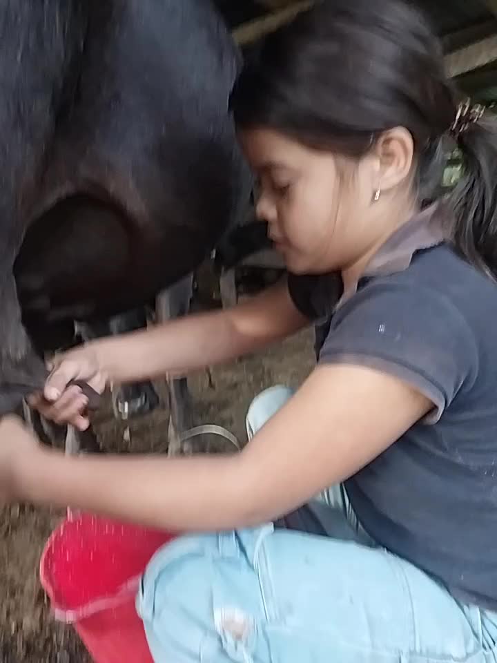 @reynita.000🐄🐴👑🫂