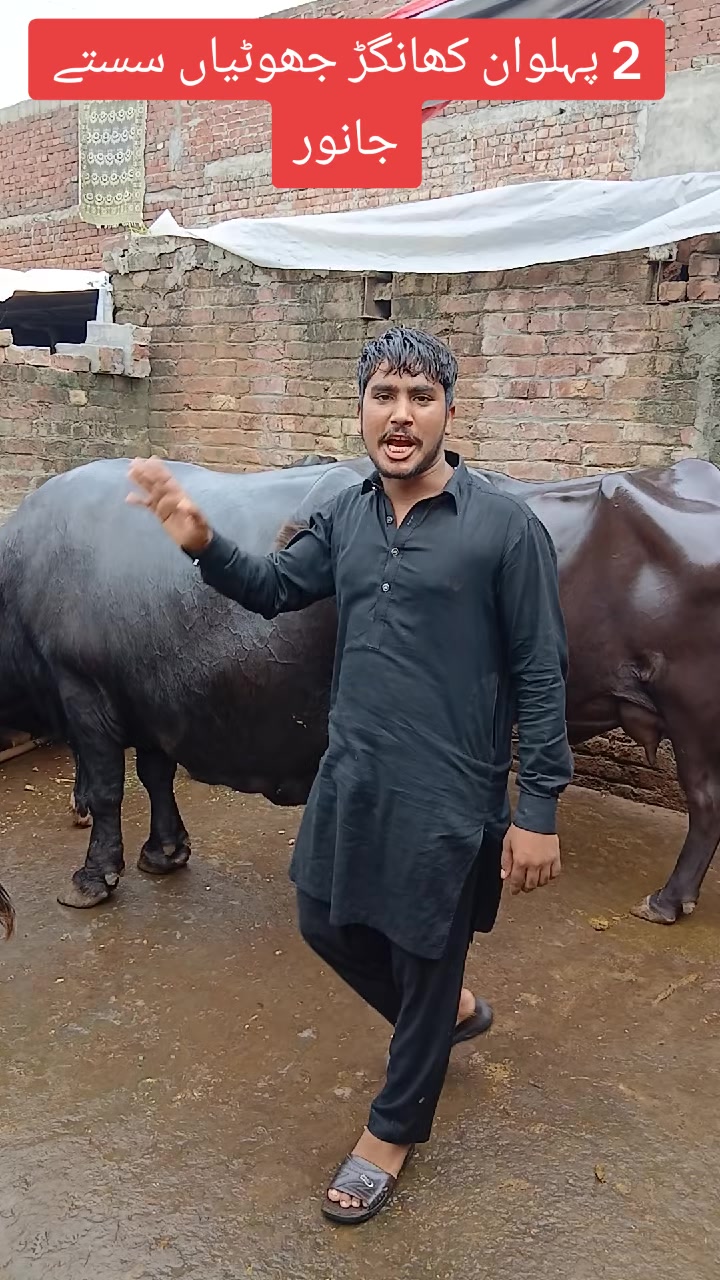@Farming and Business Ideas