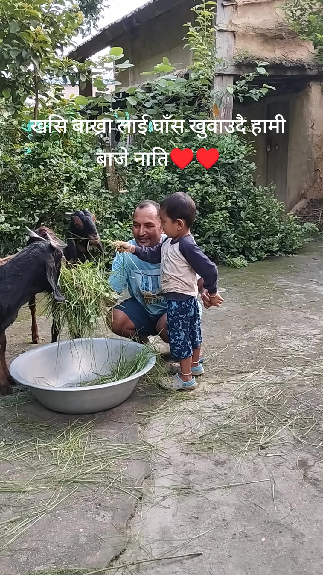 @Chandra karki