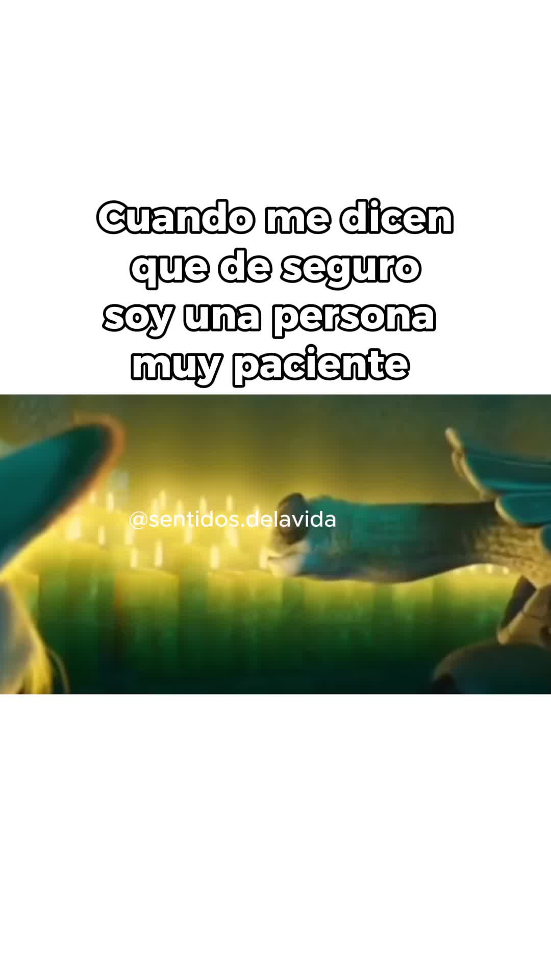 @Sentidos de la Vida