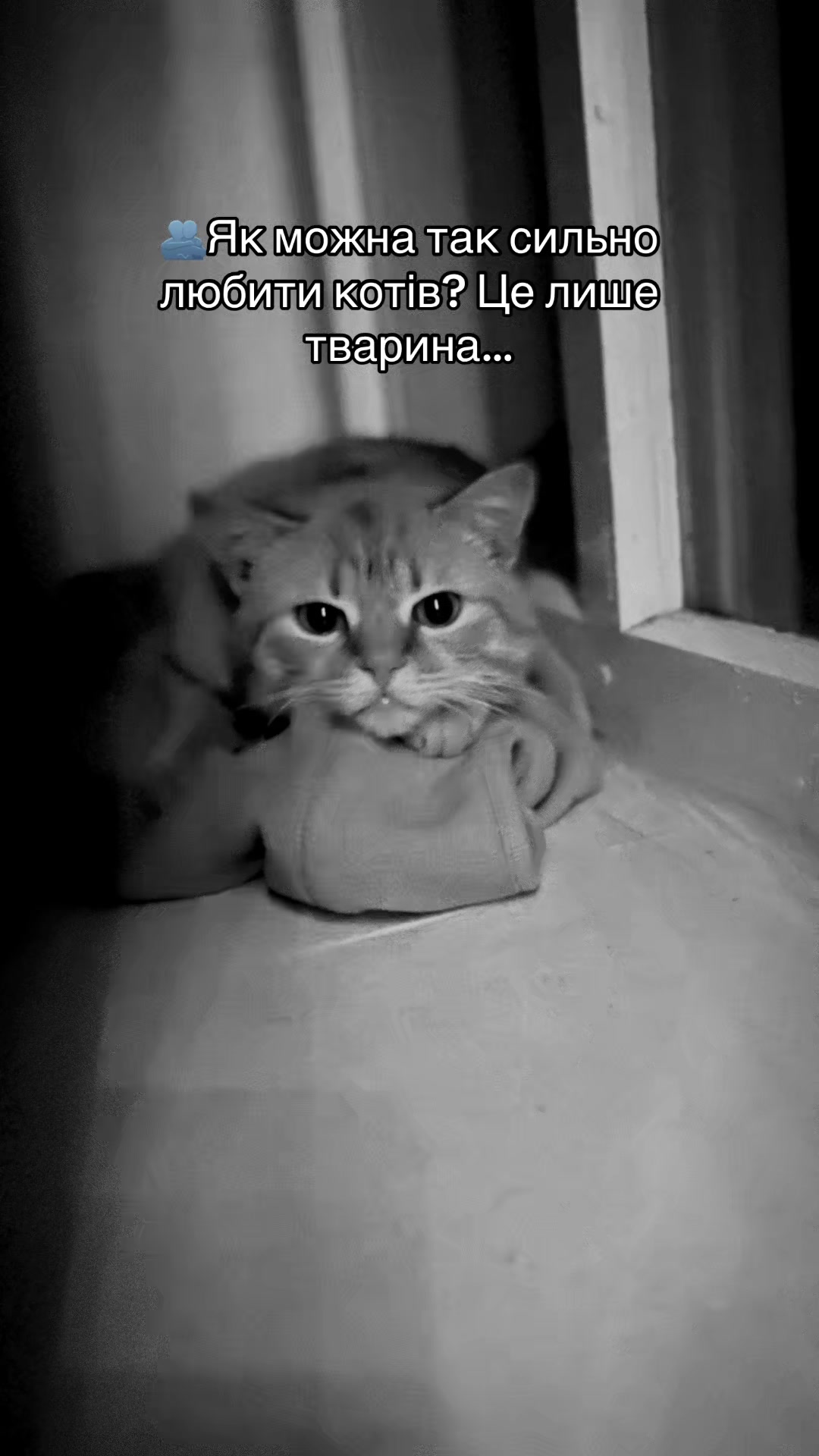 @𝒜𝓃𝒶𝓈𝓉𝒶𝓈𝒾𝒶 🤍