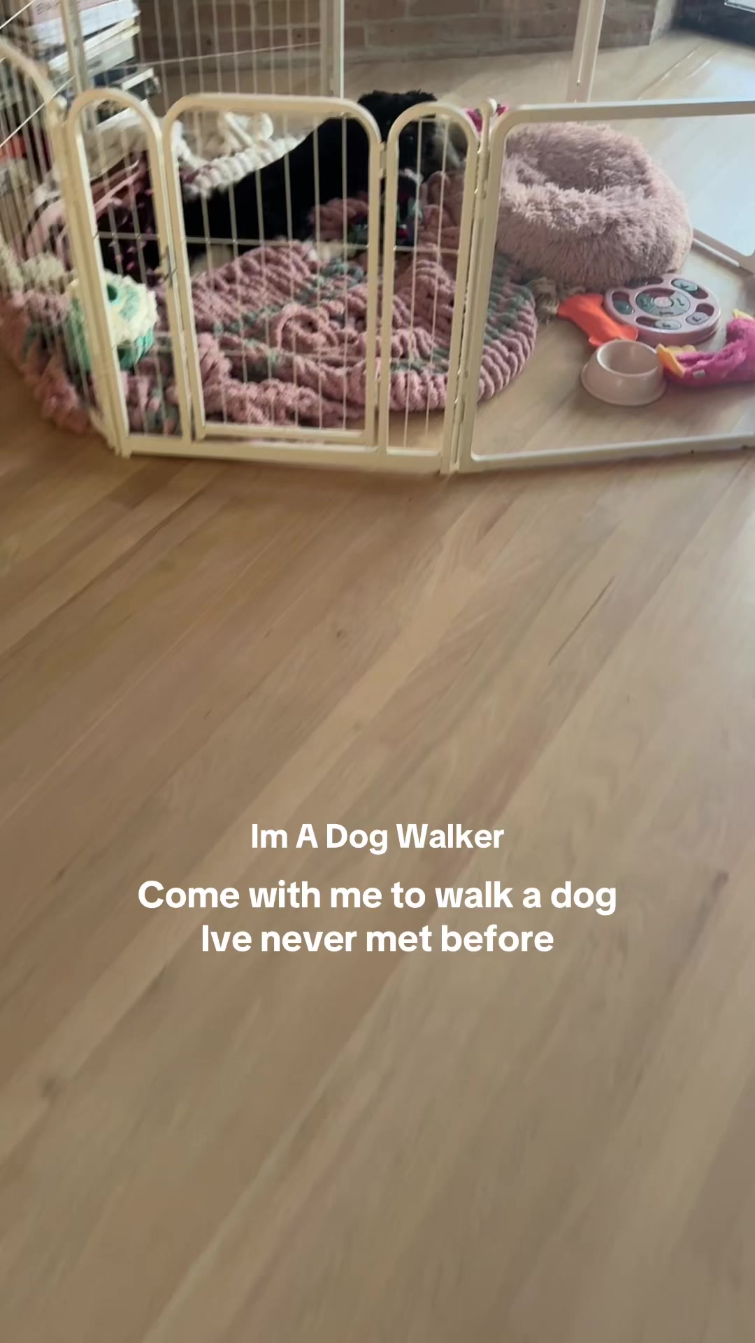 @dallasdogwalker