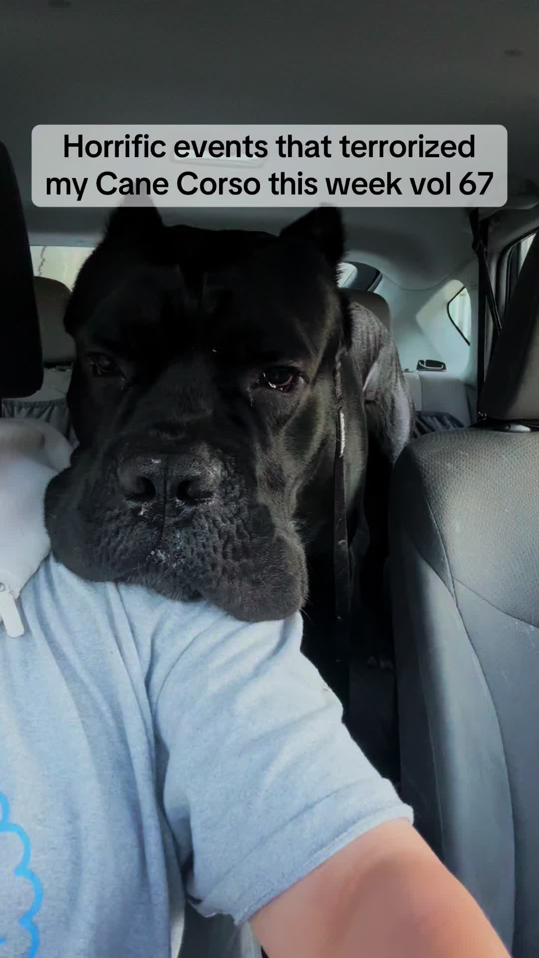 @Bentley Has Issues