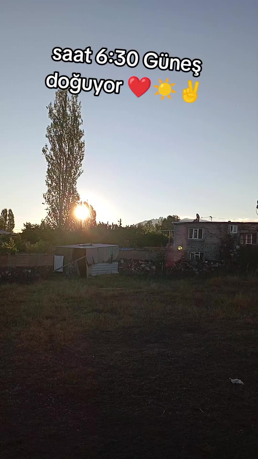 @bazidli adem04