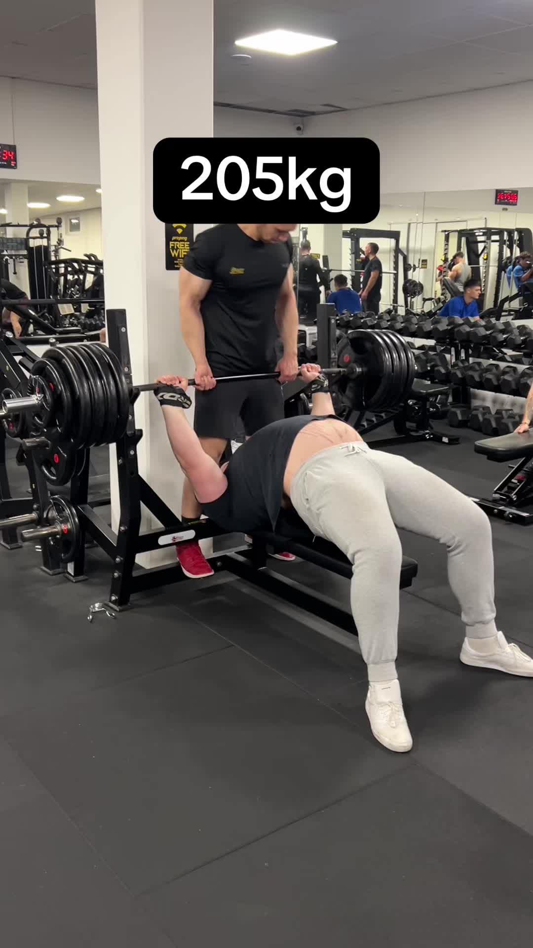 @BenchedByDino