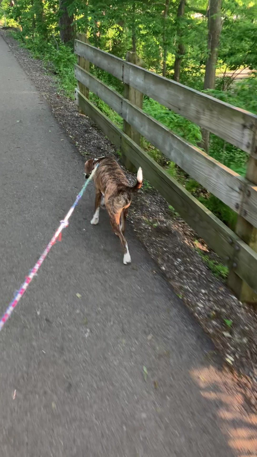 @Hikingwithstanley