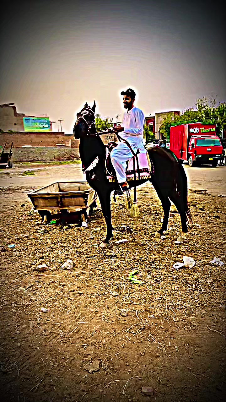 @معافی مشکل🏴☠️