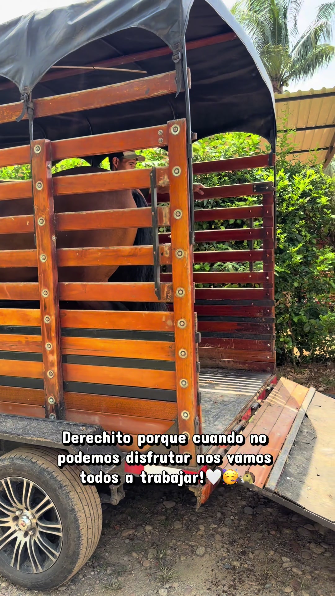 @Nani Rodríguez