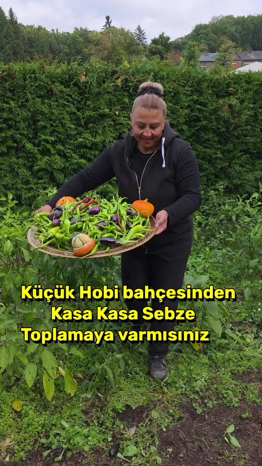 @meralworld