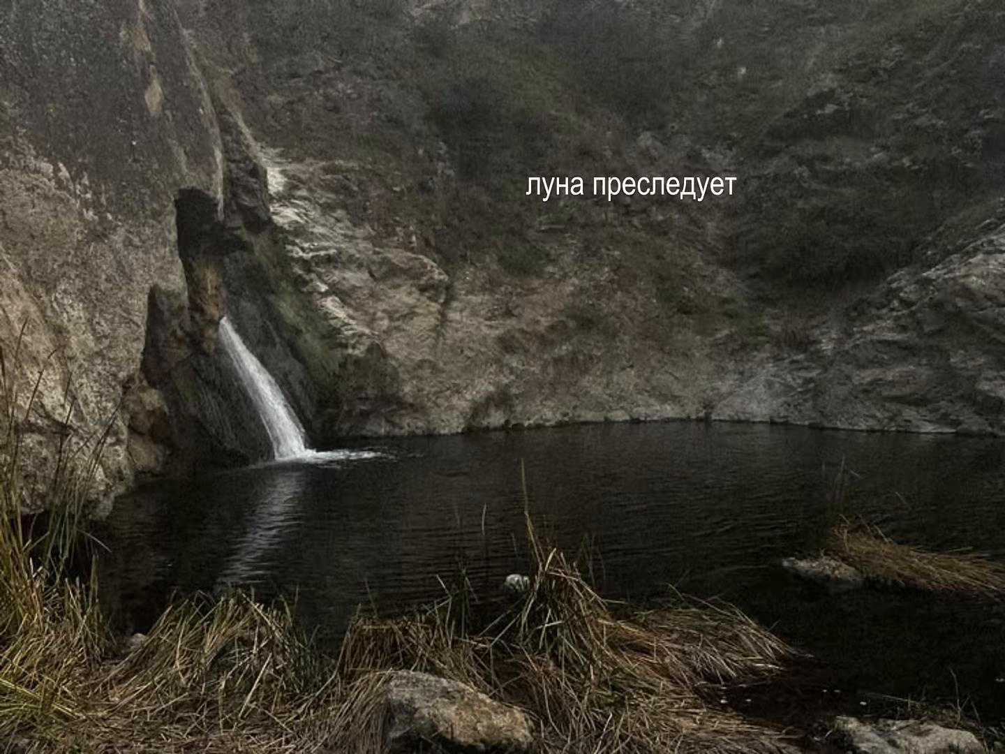 @звуки для липсингов