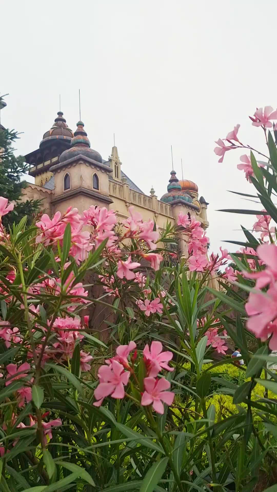 @Efteling_fan_fotos✨️