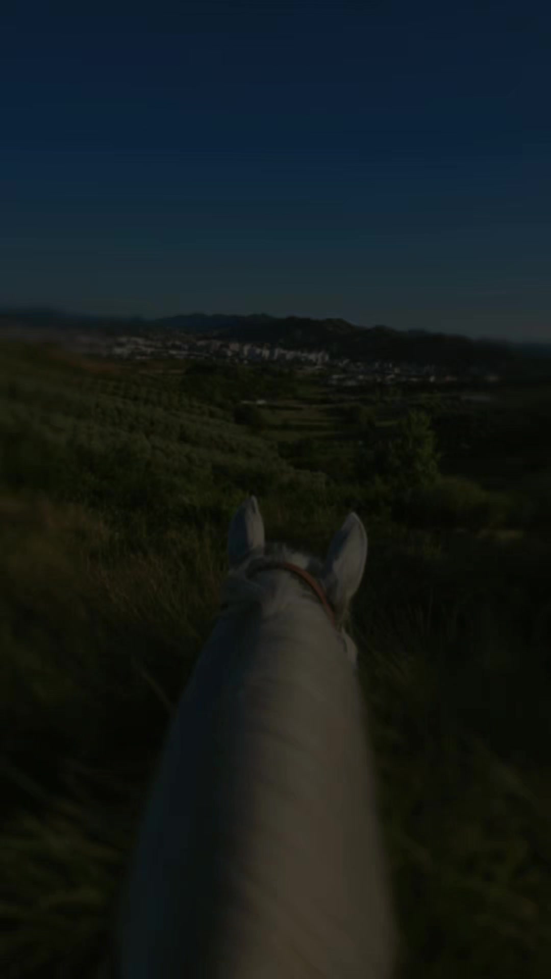 @Horse Training Center Albania