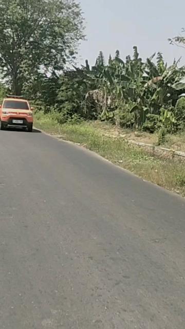 @๐๐orang Sukatani ๐๐