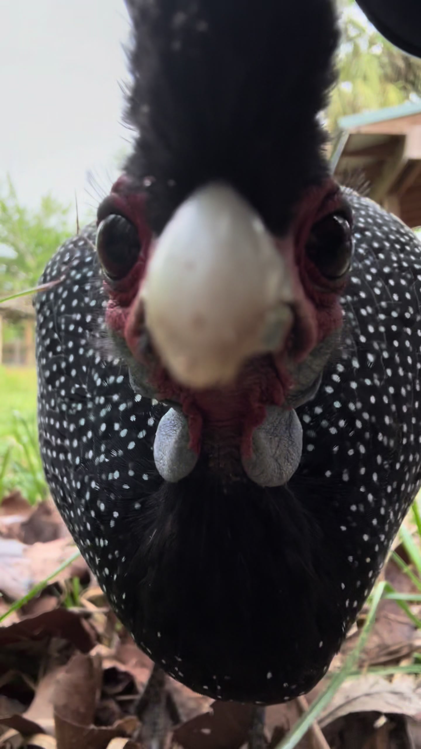 @Houston Zoo