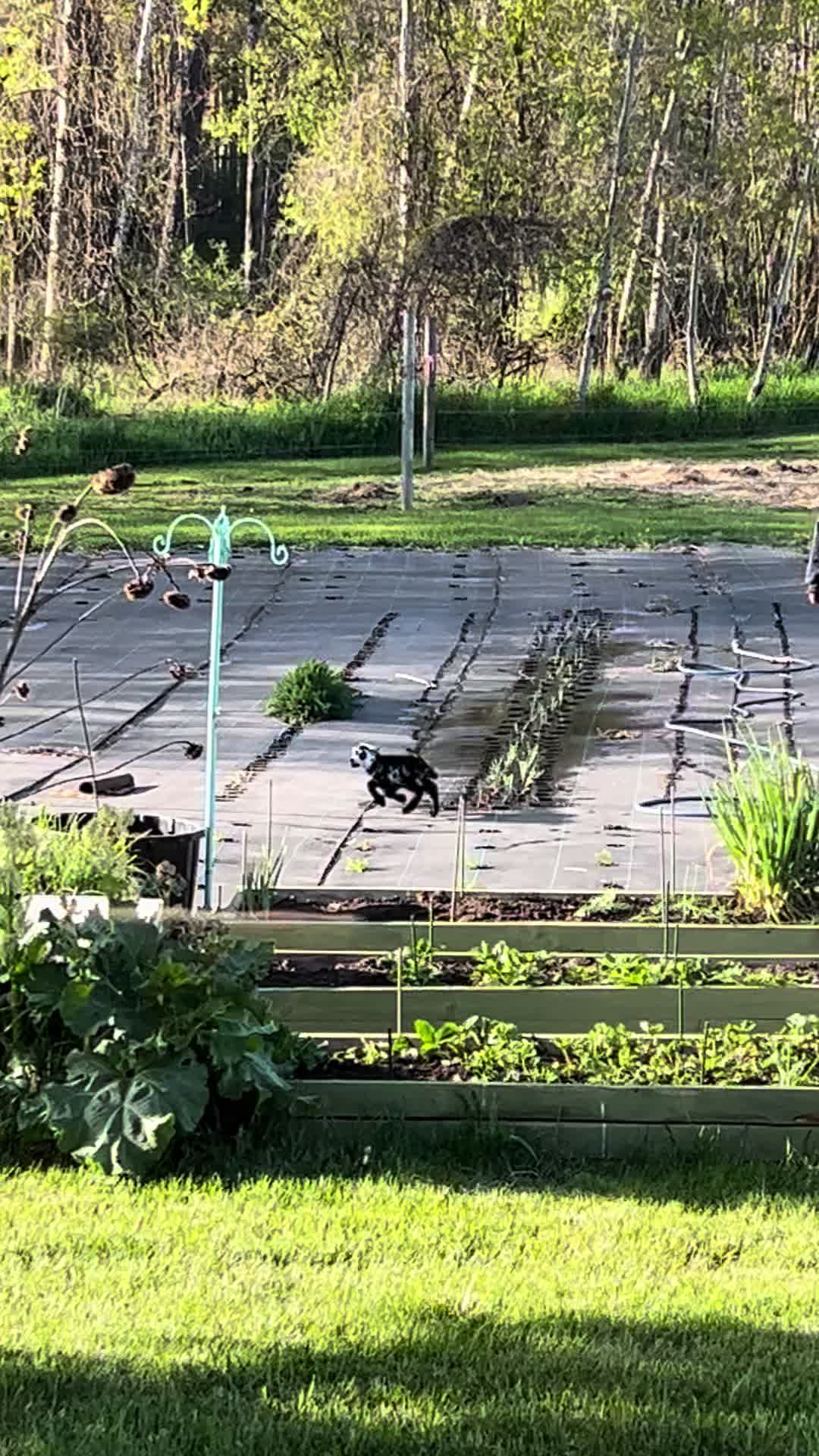 @eastwood_homestead