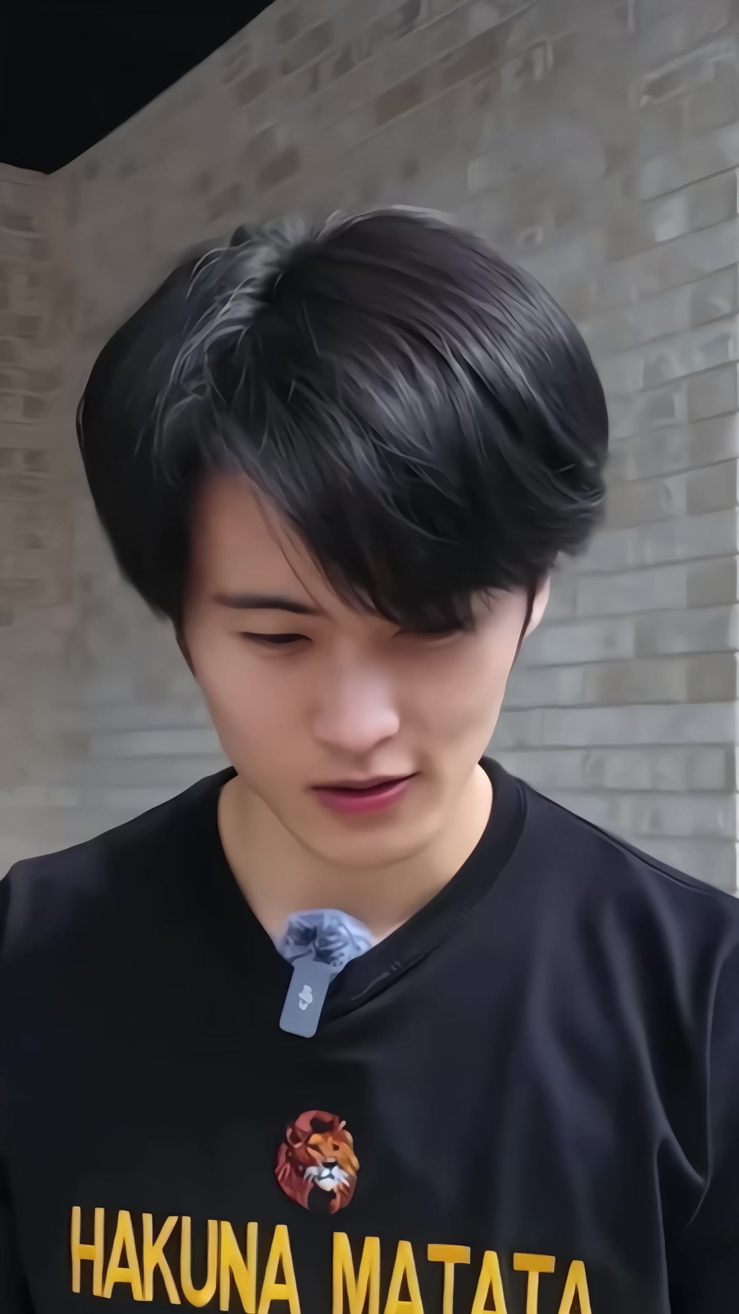 @*ੈ✩ 𝕄𝕂𝕍𝕃𝔼𝔼 ~(=^‥^)