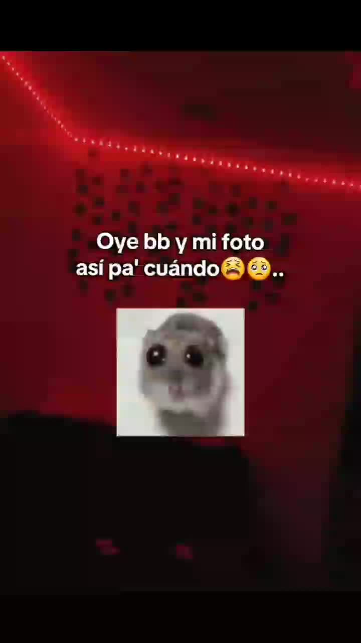@𝐸𝓁𝓋𝒾𝒶 𝐿𝑜𝓅𝑒𝓏 🥴💋