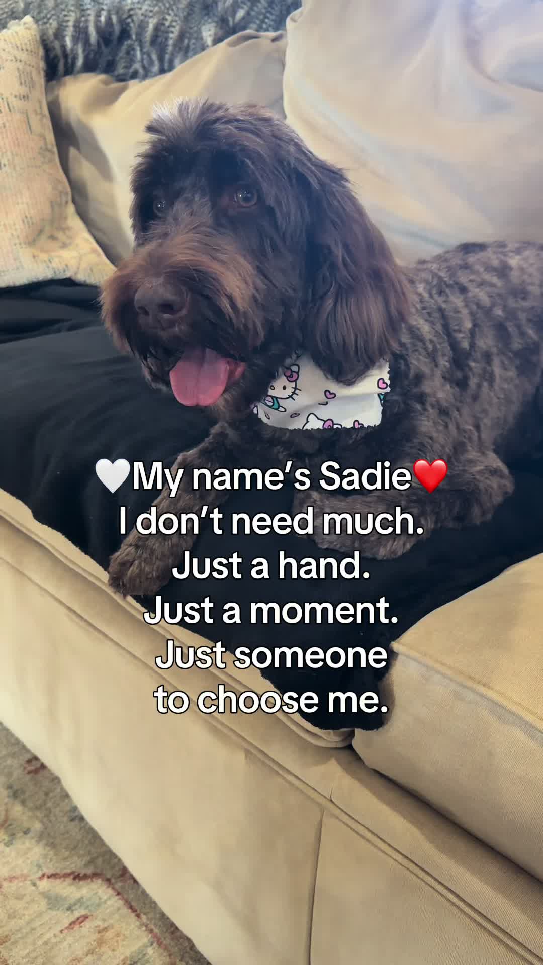 @Sadie the Doodle