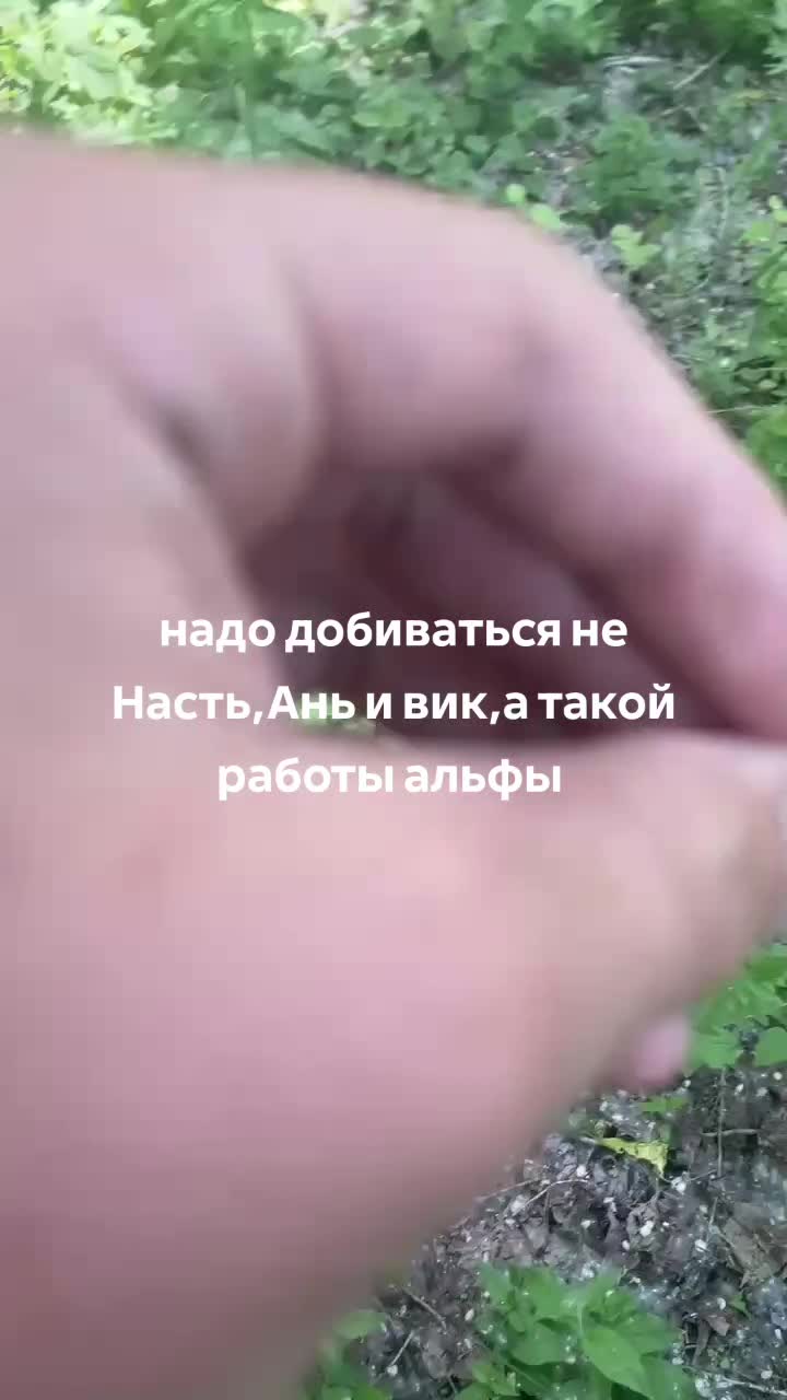 @K0rab1