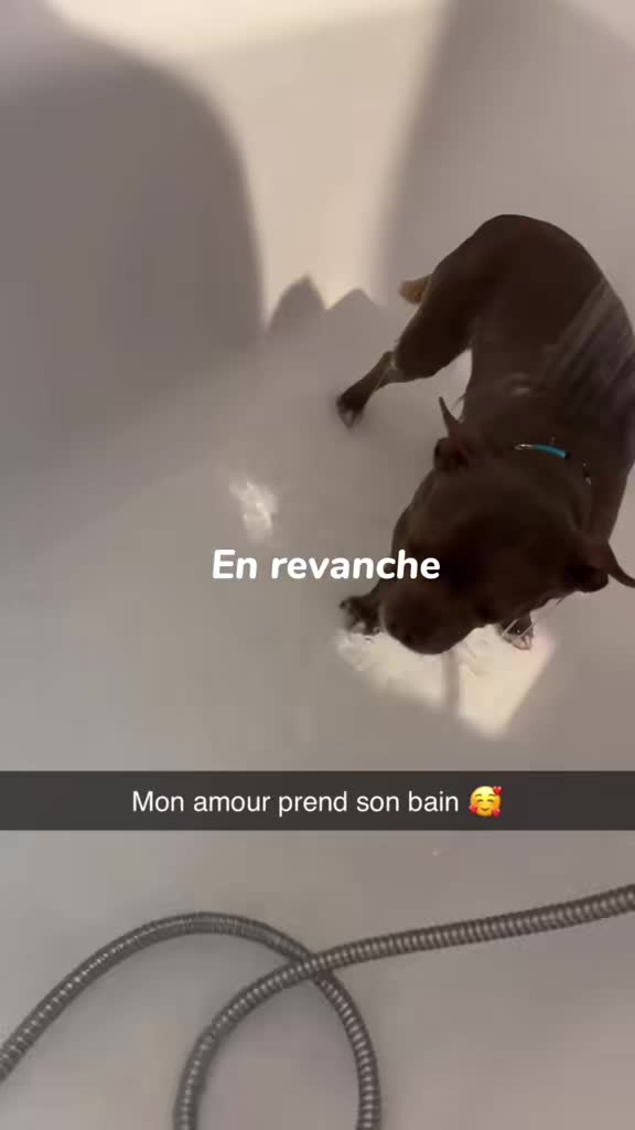 @Tiphaine