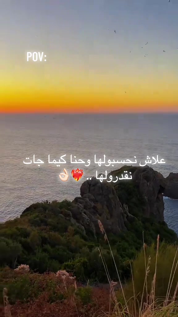 @M- Senfour 💚🦅